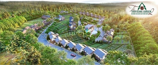 Hình ảnh Nghĩ dưỡng giữa rừng không khí siêu mát mẻ
