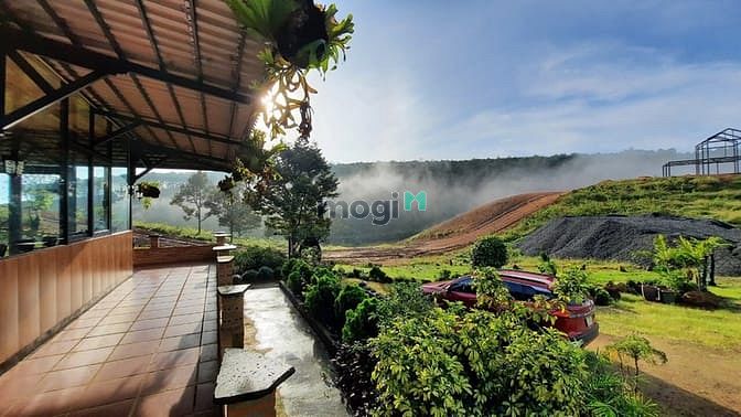 Hình ảnh Nghĩ dưỡng giữa rừng không khí siêu mát mẻ