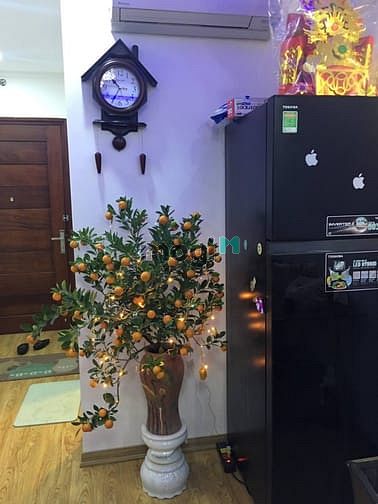 Hình ảnh Bán Trang Chủ MB66.COM / Đăng Ký Tặng 66K Green Star 61m2 2N 2VS full đồ, giá 2 tỷ 450 bao phí