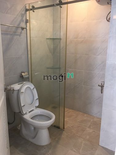 Hình ảnh Cho thuê Penthouse Phú Mỹ Hưng Quận 7 giá 20tr/tháng