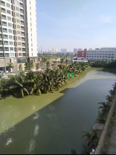 Hình ảnh Cho thuê CH Lê Thành An Lạc, Bình Tân,43m2,nhà mới, 4tr/th