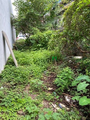 Hình ảnh Bát Khối – Bán 170m2 Đất – Ô Tô Tránh – Giá Siêu Rẻ.