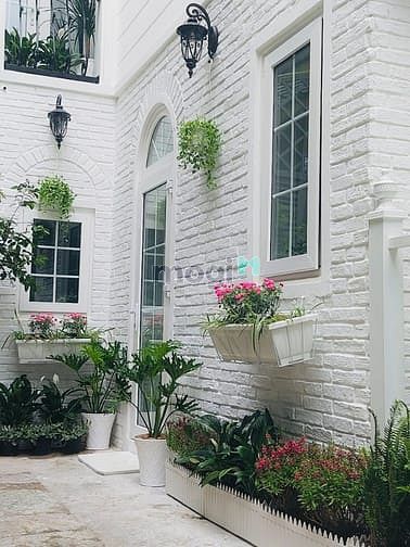 Hình ảnh Biệt thự mini Tân Bình gần sân bay nở hậu 50m2 chỉ 7 tỷ 5.