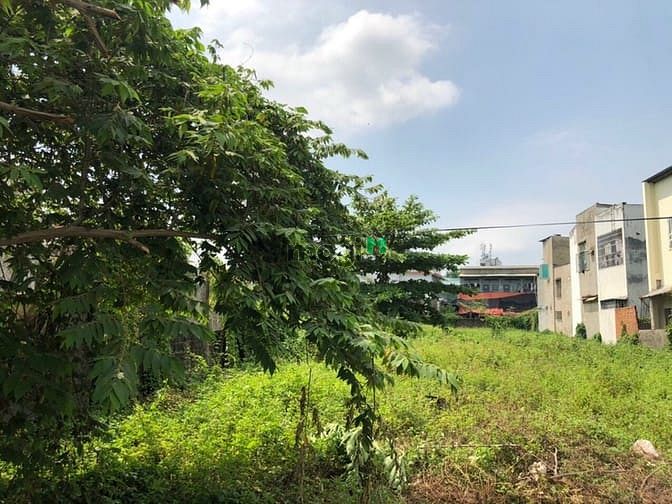 Hình ảnh Mặt tiền đất ngang 16m dài 68m, Hà Huy Giáp full thổ cư 100%