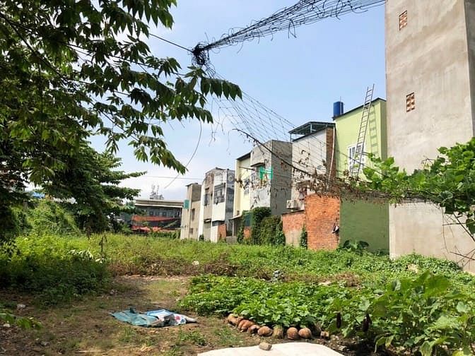 Hình ảnh Mặt tiền đất ngang 16m dài 68m, Hà Huy Giáp full thổ cư 100%