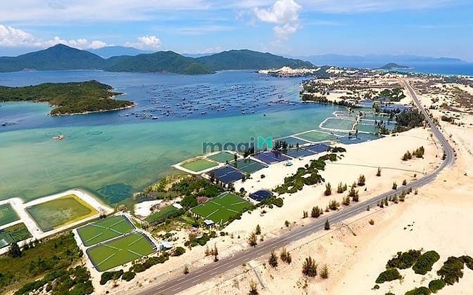 Hình ảnh Cơ hội Trang MB66.COM Chính Thức - MB 66 Uy Tín đất nền mặt biển Vịnh Vân Phong - Khánh Hòa