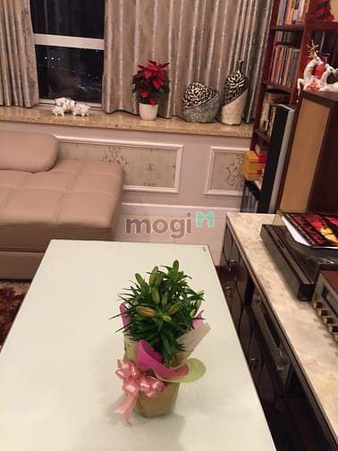Hình ảnh Hotiland.info - 2Pn Sunrise city 100 m2, full nt, giá chỉ 14 trd/tháng