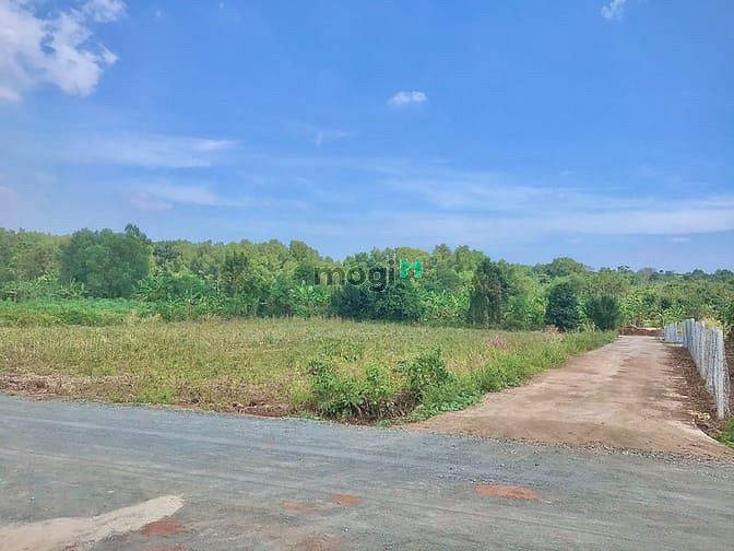 Hình ảnh Bán gấp đất thổ cư - sổ hồng riêng giá chỉ hơn 800tr/nền xã Đá Bạc