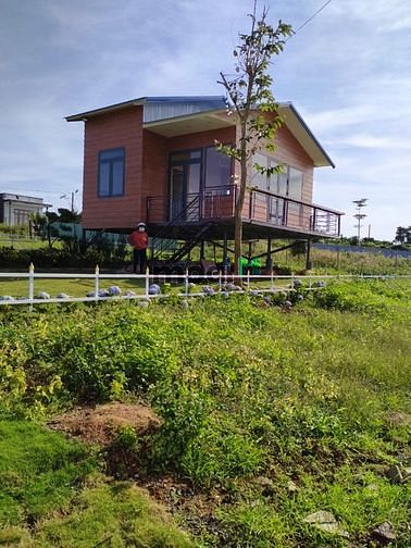 Hình ảnh anh chồng cần ra gấp lô đất để mua quà tết tặng mẹ vợ
