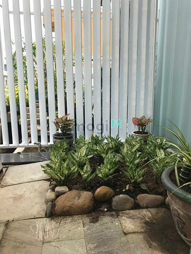 Hình ảnh 🏠Duplex- Studio- BAN CÔNG Full NT xinh xắn✨ CHỈ TÍNH ĐIỆN⚡️