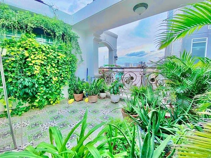 Hình ảnh Bán nhà mặt tiền nội bộ VIP Phú Nhuận, Phan Đăng Lưu chỉ 8.5 tỷ, 40m2.