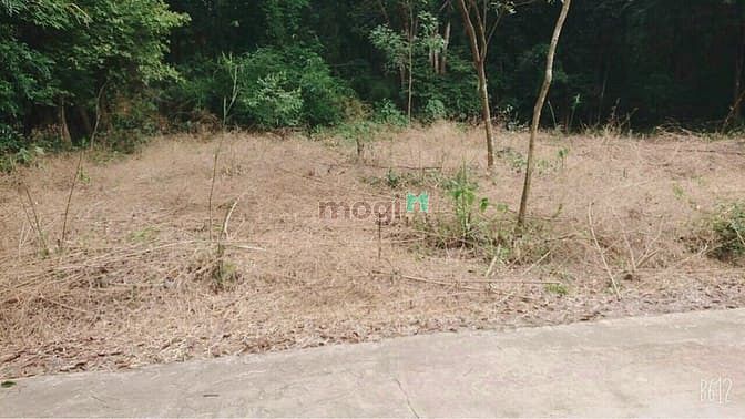 Hình ảnh Bán đất Minh Thạnh, Dầu Tiếng, DT:5x27, TC100m2, SHR, giá 650 triệu/lô