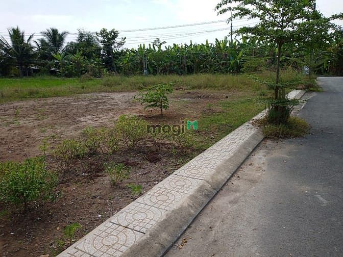 Hình ảnh Bán đất nền MT826, Cần Đước, 103m2 gần Rạch Kiến giá 1 tỉ Xx SHR