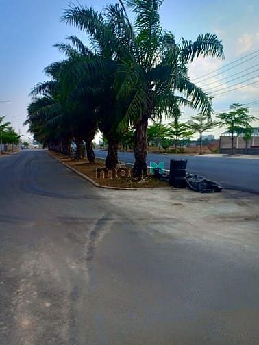 Hình ảnh Cặp đất thổ 10x26m đường lớn 16m . Đất Bình Chánh Sổ Riêng .