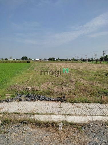 Hình ảnh Bán nhanh lô đất 800tr ở ngã 3 Hòa Khánh