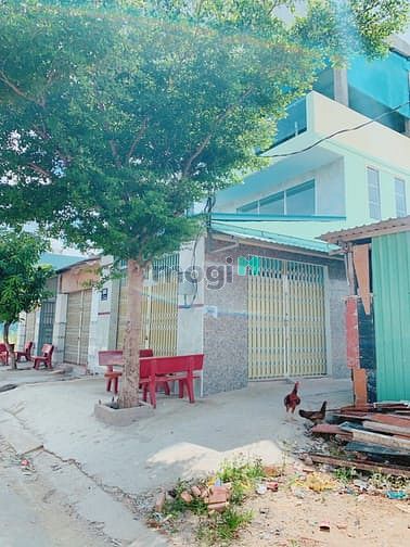 Hình ảnh Cặp đất thổ 10x26m đường lớn 16m . Đất Bình Chánh Sổ Riêng .
