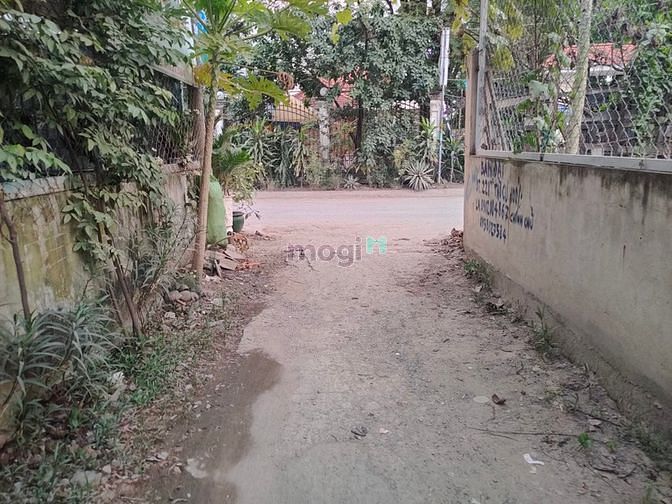 Hình ảnh Bán Đất Thổ Cư 230m2, Phường Thạnh Lộc. Quận 12. Giá Nhỉnh Hơn 6 Tỷ
