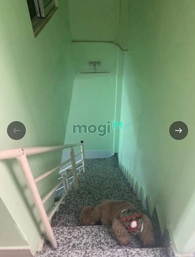 Hình ảnh Bán nhà 40m2 đường Âu Cơ, P10 Tân Bình shr hẻm 4m
