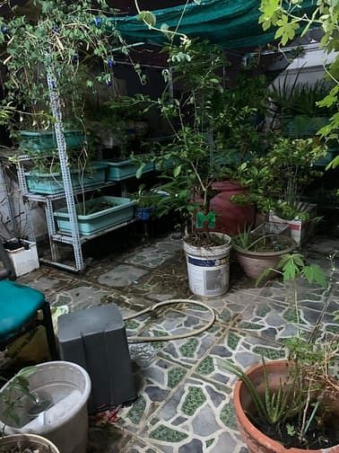 Hình ảnh Bán nhà hẻm lê văn quới quận bình tân. 60m2