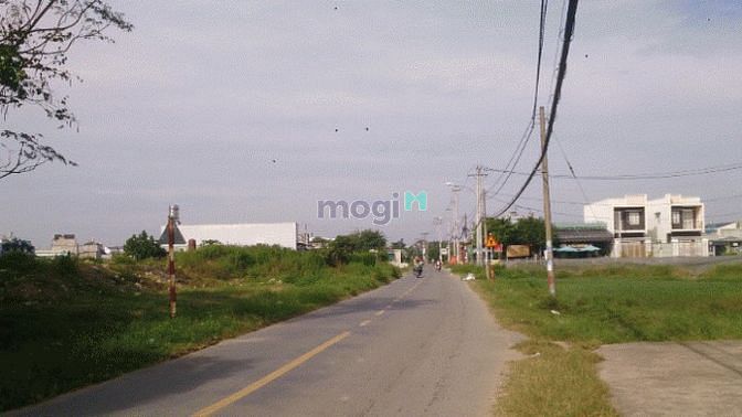 Hình ảnh 5000m2 đất mặt tiền đường Đỗ Văn Dậy, Tân Hiệp Hóc Môn cần bán gấp