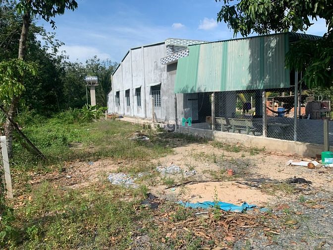 Hình ảnh Cần bán gấp lô đất Phước An, Phước Thạnh, Gò Dầu, Tây Ninh. DT 8x41