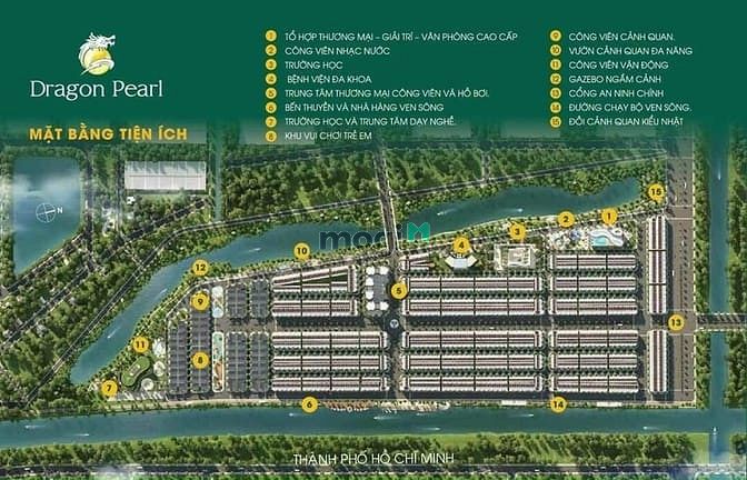 Hình ảnh Đất nền đô thị mới Gragon pearl Đức Hòa Long An