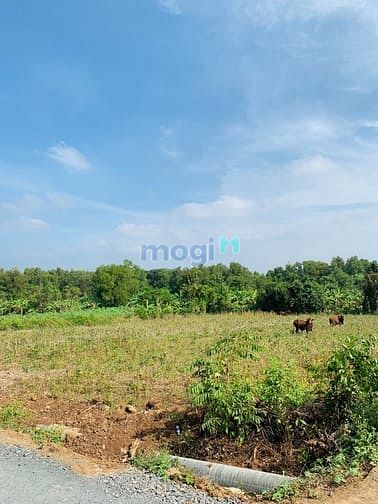 Hình ảnh Đất thổ cư SHR gần KCN đối diện KDL Sinh Thái