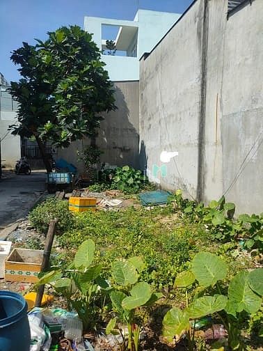 Hình ảnh 75m2 Đất hẻm xe tải đường Gò Xoài. Sổ hồng riêng, ngang bề thế 5m