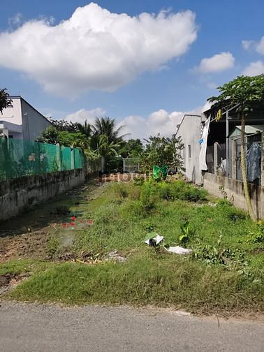 Hình ảnh ĐẤt cho thuê nhà xưởng gấp gấp