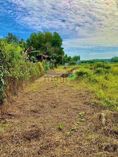 Hình ảnh Bán 1030m2 đất vườn được quy hoạch đất thổ cư, đường xe hơi tới đất