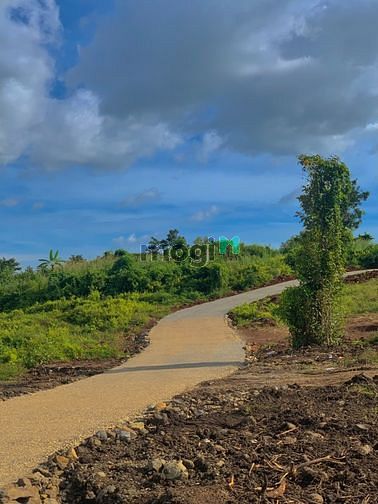 Hình ảnh Đất thổ cư sổ hồng riêng view suối ngay cầu đá bạc