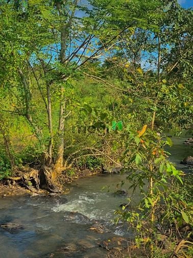 Hình ảnh Đất thổ cư sổ hồng riêng view suối ngay cầu đá bạc