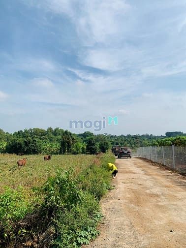 Hình ảnh Đất thổ cư sổ hồng riêng view suối ngay cầu đá bạc