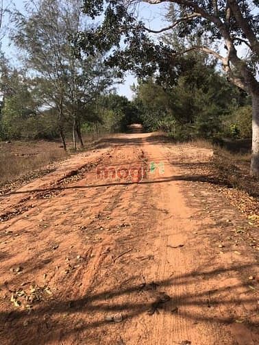 Hình ảnh 6 héc đất ven biển đối diện dự an BECAMEX giá 26 tỷ