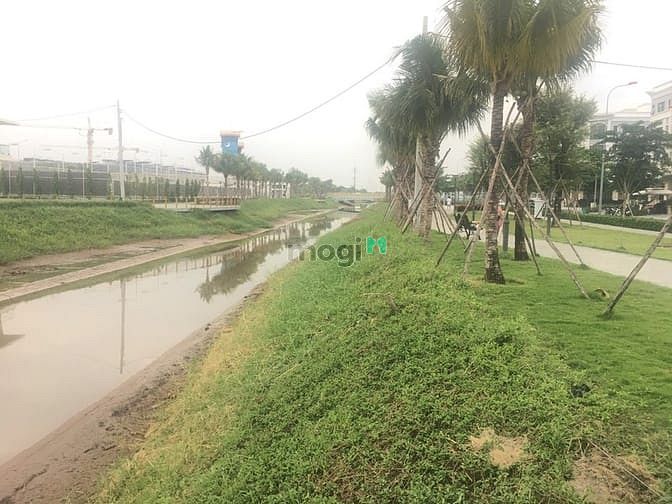 Hình ảnh 440m2 đất THỔ CƯ sát chợ đầu mối THỦ ĐỨC - gần BV Hạnh Phúc , CÓ 2 SHR
