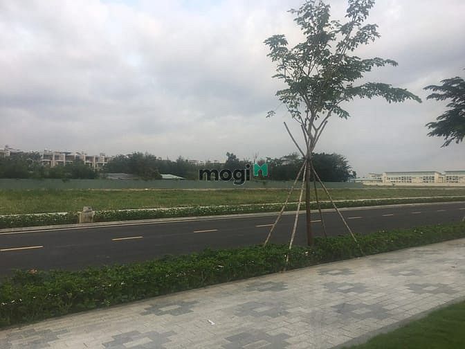 Hình ảnh 440m2 đất THỔ CƯ sát chợ đầu mối THỦ ĐỨC - gần BV Hạnh Phúc , CÓ 2 SHR