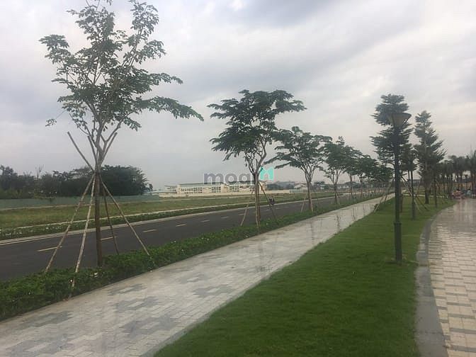 Hình ảnh 440m2 đất THỔ CƯ sát chợ đầu mối THỦ ĐỨC - gần BV Hạnh Phúc , CÓ 2 SHR