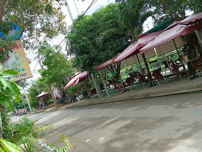 Hình ảnh 440m2 đất THỔ CƯ sát chợ đầu mối THỦ ĐỨC - gần BV Hạnh Phúc , CÓ 2 SHR