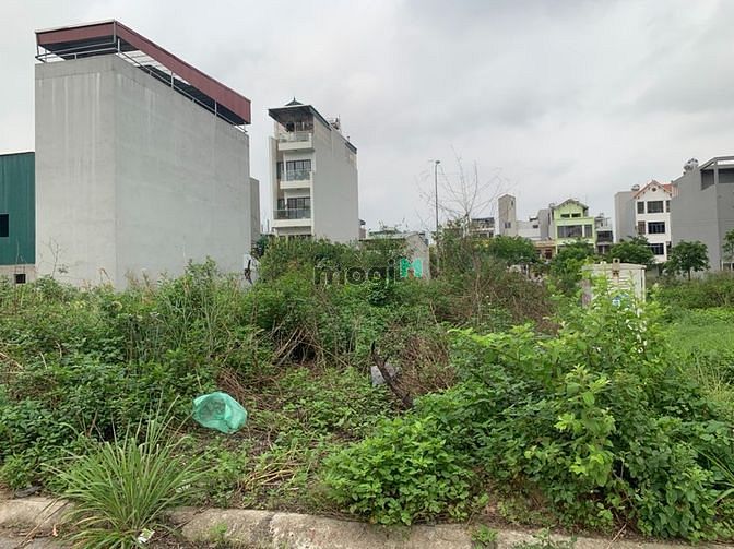 Hình ảnh Bán khẩn 359m2 đất xóm 8 Đông Dư, phân lô, xây biệt thự đều được