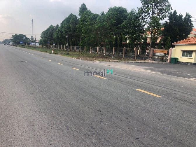 Hình ảnh Bán đất Long Hoà, Dầu Tiếng, DT: 6.89x43, SHR, giá 770 triệu chốt