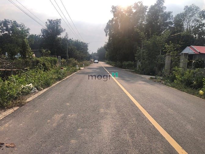 Hình ảnh Bán đất Long Hoà, Dầu Tiếng, DT: 6.89x43, SHR, giá 770 triệu chốt