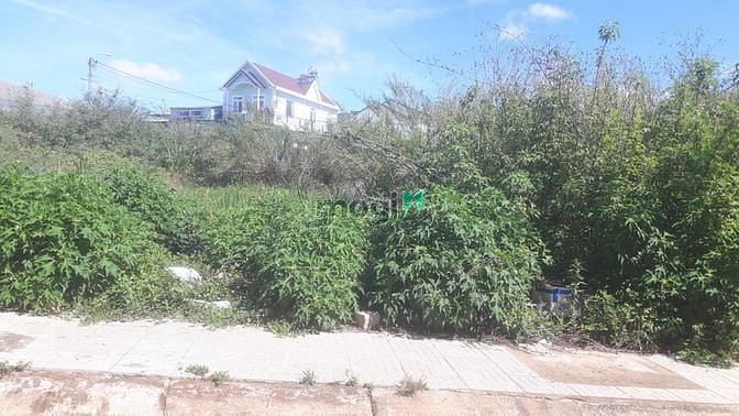 Hình ảnh Đất Đà Lạt liên kế đường nhựa KQH – 3 tỷ 6.