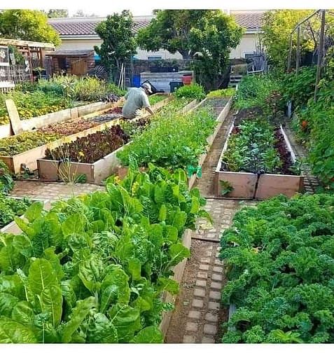 Hình ảnh Bán Đất Phước Bình Xây Nhà Vườn, Ngay Khu Dân Cư Sầm Uất Nhất , SHR