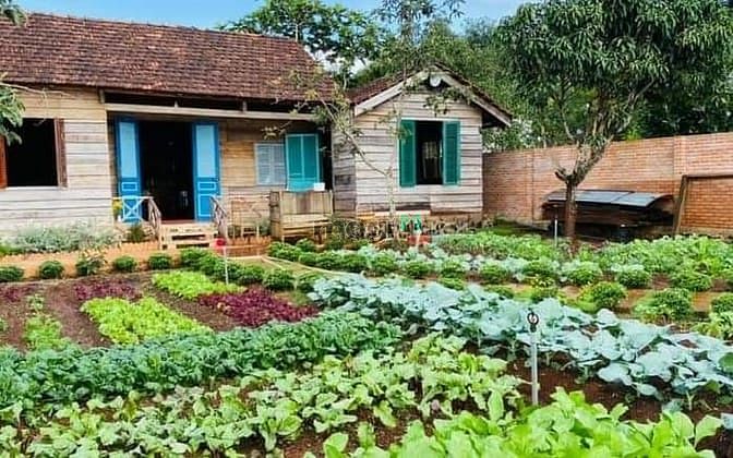 Hình ảnh Bán Đất Phước Bình Xây Nhà Vườn, Ngay Khu Dân Cư Sầm Uất Nhất , SHR
