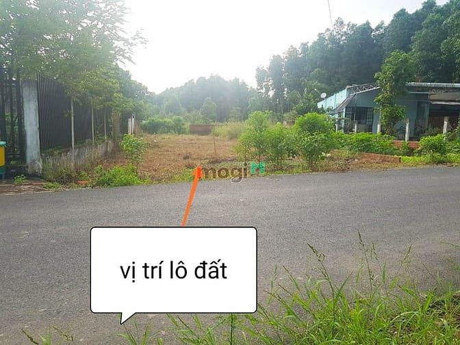 Hình ảnh Bán Đất Phước Bình Xây Nhà Vườn, Ngay Khu Dân Cư Sầm Uất Nhất , SHR