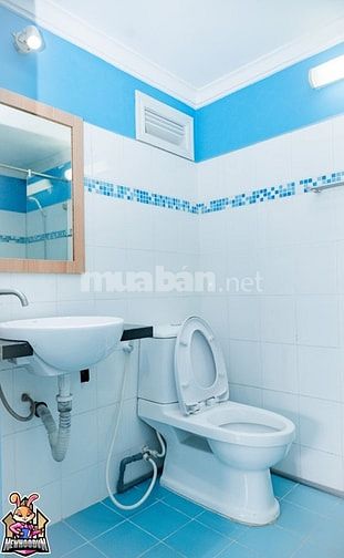 Hình ảnh Cho Thuê CHDV Đường Cống Quỳnh Q.1
