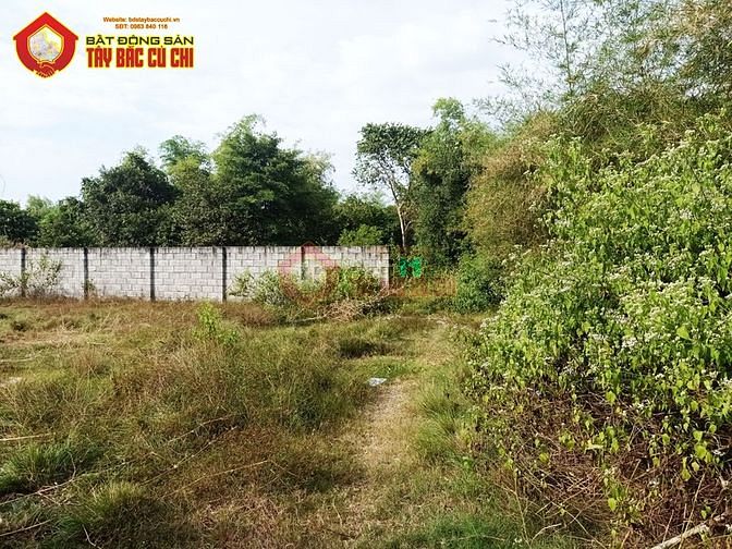 Hình ảnh Bán đất 1/ đường Bùi Thị Lành - 497m2 - 15x34 - 497m2 thổ cư