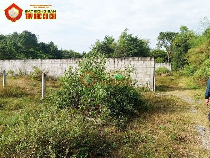 Hình ảnh Bán đất 1/ đường Bùi Thị Lành - 497m2 - 15x34 - 497m2 thổ cư