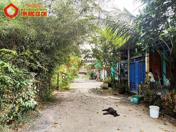 Hình ảnh Bán đất 1/ đường Bùi Thị Lành - 497m2 - 15x34 - 497m2 thổ cư
