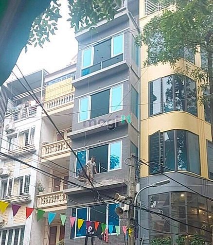 Hình ảnh Cho thuê nhà 7 tầng phố Mạc Thái Tổ - Cầu Giấy